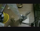 梱包材に飛びつく子猫