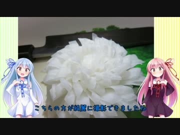うちの琴葉姉妹は食べ盛り　＃14.5　「大根でつくる菊の花」