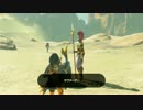 【実況】ゼルダの伝説ブレスオブザワイルドで少年の心を思い出すpart40