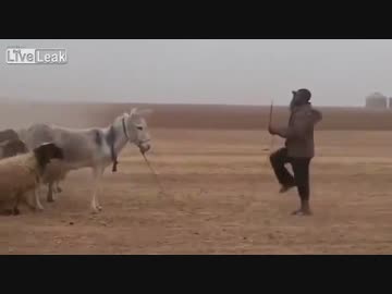 統率の取れた軍隊の行進をご覧ください。