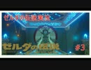 【ゼルダの伝説BW】初ダンジョン！新たな力#3【ボソボソプレイ 】