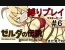 【ゼルダの伝説BotW】縛りプレイでこの先生きのこるには　６話