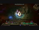 【GrimDawn】16%反射おじさん