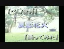 【べし/夜月】夏恋花火【踊ってみた】