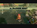 【実況】part120 世界に遊んでもらうゼルダの伝説BotW