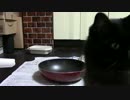 こんしゅうのおやつ【蒼民家の猫々】