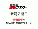 競馬道調教マスターで新潟２歳Ｓの勝ち馬を探す