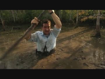 熊さん VS エバーグレーズ