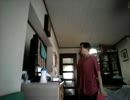 COLORS1