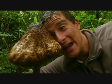 熊さん VS エクアドル