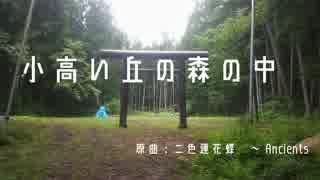 【東方自作アレンジ】小高い丘の森の中【秋霜玉】