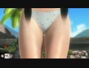 DOA5LR極上バカンスコスチューム　パイ