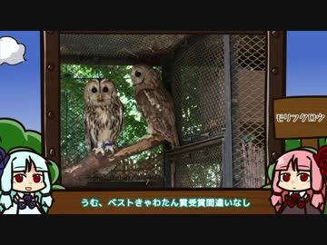 姉妹と動物園【大宮公園小動物園編】