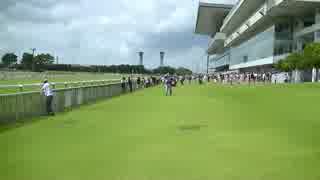 新潟競馬場に行ってみた①