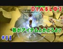 初心者にやさしいディアブロ3実況【ネクロマンサー】#11