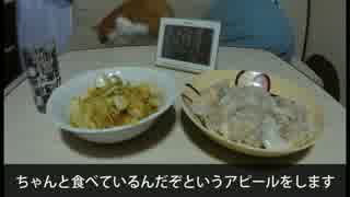 【ぼくなつ2】8/19おばちゃんの晩ごはん作ってみた