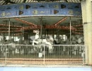新不凡を捜せ！in福岡