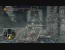 大弓でボスを撃破してみた(無名の王編)