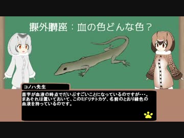 【けものフレンズ】ジャパリ講座　第一回～からだを流れるもの～