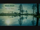 Black Brick 歌ってみた (;ﾟ;;)