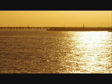 気づくとCBR250Rで走っていた第１話Part4河津桜編