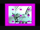 Pomona Dream - Tropicana 【PV】