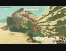 【実況】新たな冒険へ！ゼルダの伝説 ブレスオブザワイルド ぱーと59