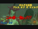 実況とはよべないゲームプレイ【のんびり冒険 ゼルダの伝説BotW】55