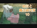 【Minecraft】助豆と魔法研究家　10【実況】