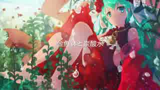 【初音ミク】金魚鉢と炭酸水【オリジナル曲】