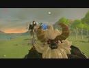 【ゆっくり実況】ゼルダの伝説BotW マスターモード裸縛りのすゝめ #01