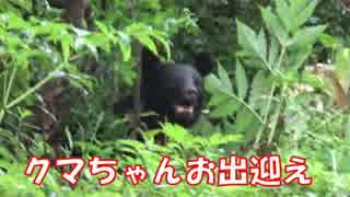 【黒部源流釣り①】クマ現る！折立登山口から薬師沢小屋を目指せ！！