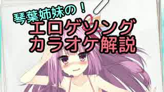 【第三回ひじき祭】琴葉姉妹の！エロゲソングカラオケ解説