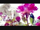 【NNI】秘密な幸福的感情について【オリジナル】