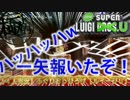 【4人実況】ふぐりおっぴろげ【ルイージU】2-2