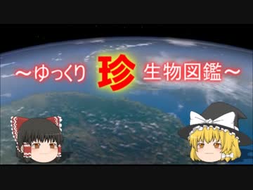 ～ゆっくり　珍　生物図鑑～　新・57回