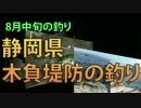 静岡県木負堤防の釣り　8月中旬