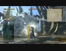 【DDON】元GMゴルゴランレベリング　時給300万exp/3万6千JP　ver3.0
