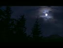 鈴虫の鳴き声（作業用BGM、睡眠用BGM）