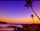 SuperMix#95