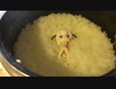 ホモと学ぶ呪いYoutuber　汚料理編