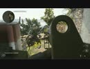 ペリカンのCOD:WW2実況プレイ 2【TDM】