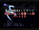【実況】妥協しない人修羅の一人旅縛りプレイpart25