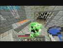 【Minecraft】Any% RTA（エンドラRTA）49:57【ランダム】