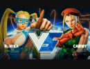 EsportsFestivalHK2017 スト5 Pool5 WinnersFinal ふ～ど vs NL