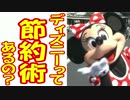 ディズニーって節約術あるの？part９