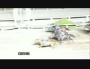 2017年8月25日園田競馬10R エコフィード特別(A1・A2) ナナヨンハーバー