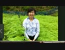 安倍昭恵を共謀罪（大麻取締法の準備行為・予備行為）で逮捕せよ