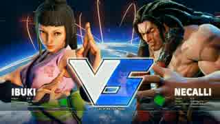 EsportsFestivalHK2017 スト5 Pool8 WinnersFinal GO1 vs GamerBee