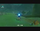 自由すぎるリンクの冒険【プレイ動画その１４０】